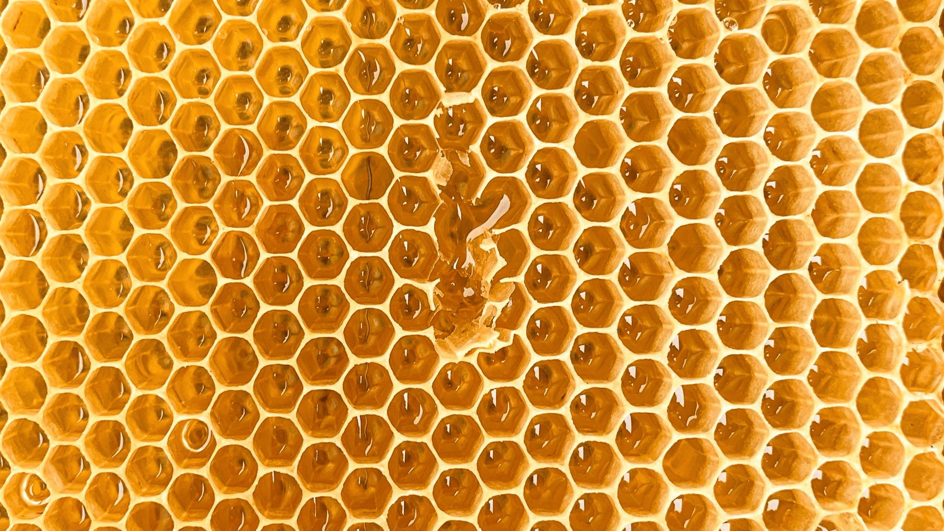 Honeycomb
