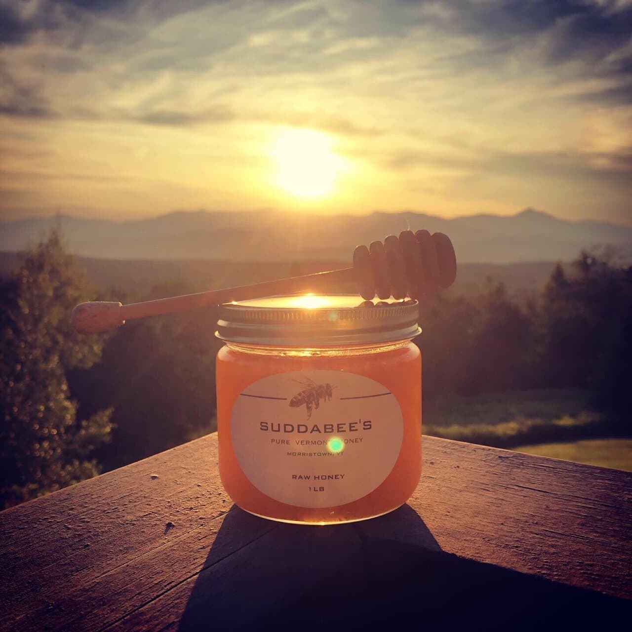 Suddabees honey - Image 1
