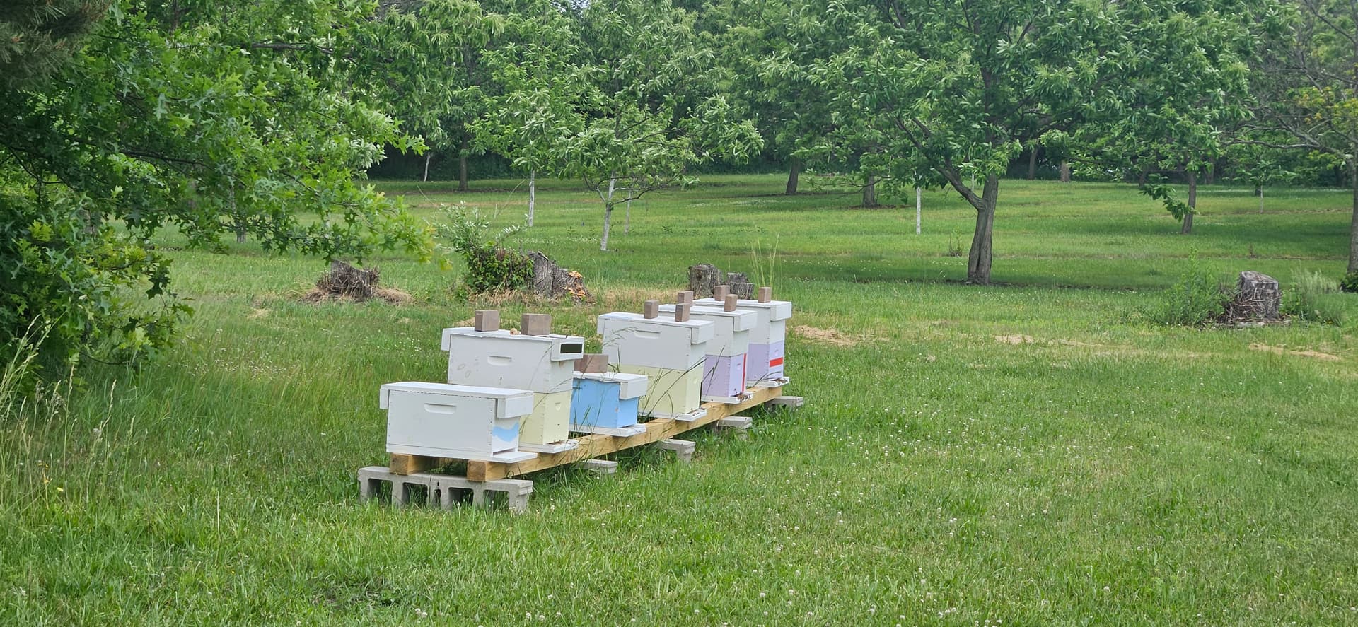 Decker Apiaries