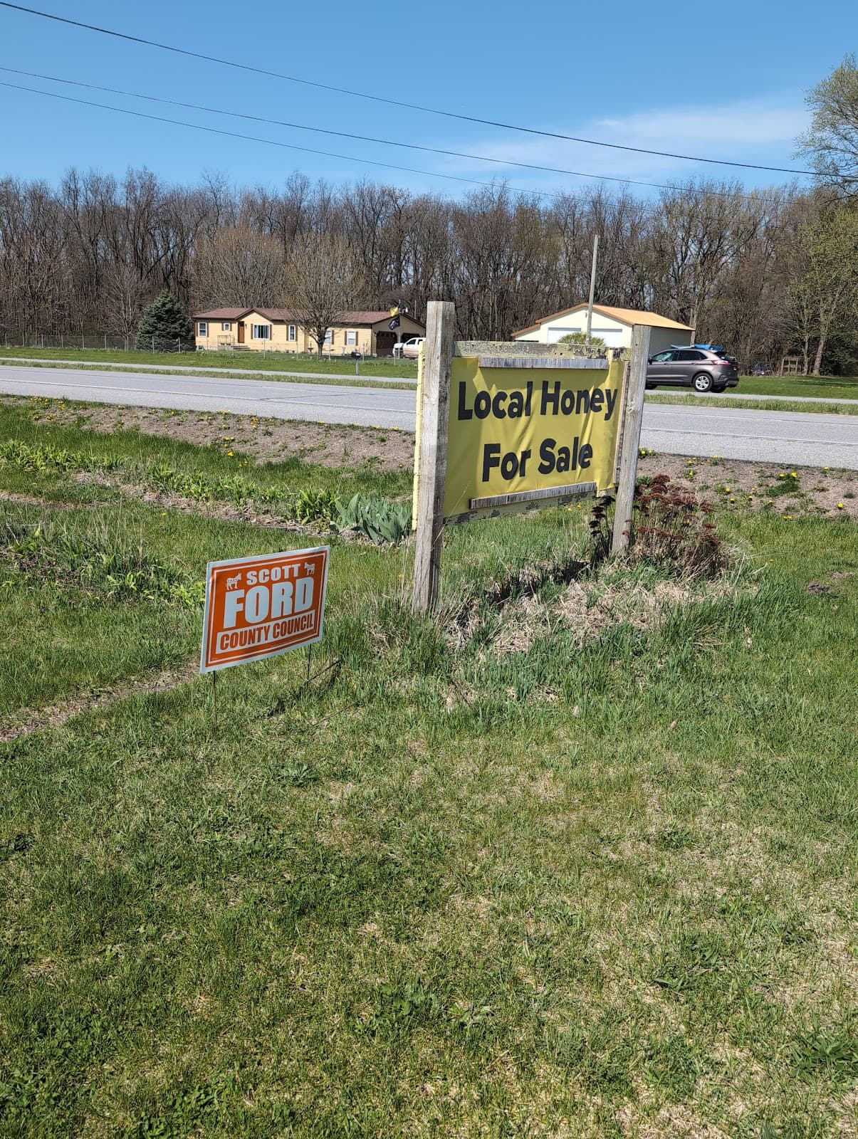 Bee Madness Apiary - Image 1