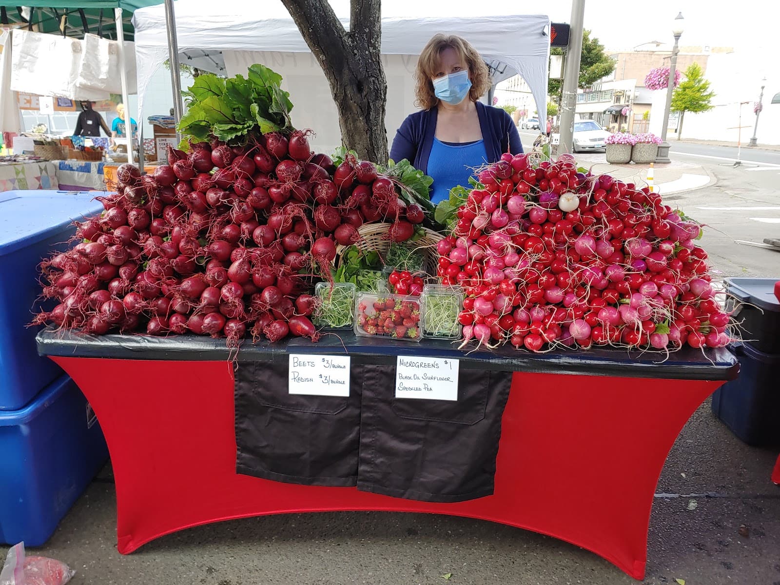 Bee Organic Farm & Apiary