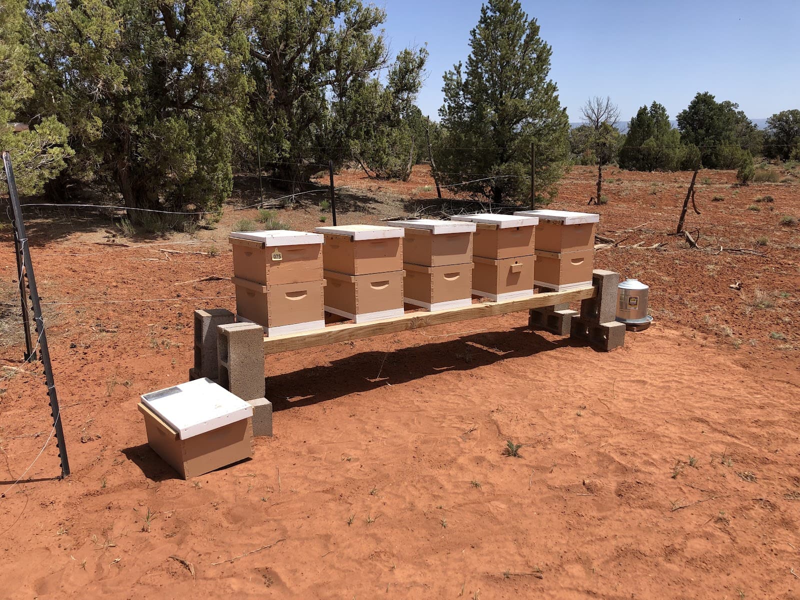 Beedaddy Apiaries - Image 1