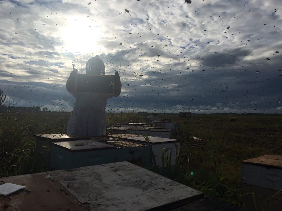 Burnley Farm Apiary, LLC