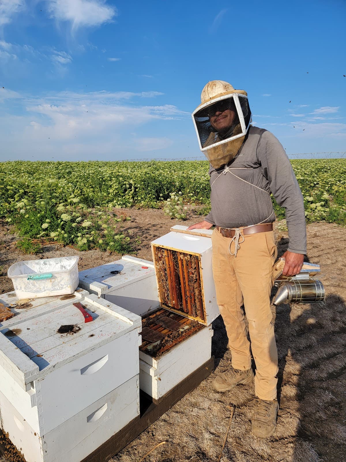 Can Am Apiaries Inc.