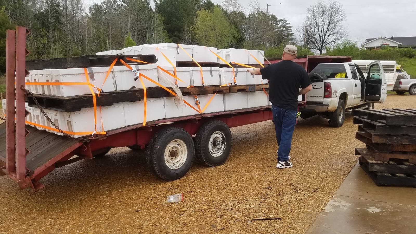 Coys Honey Farm - Image 1