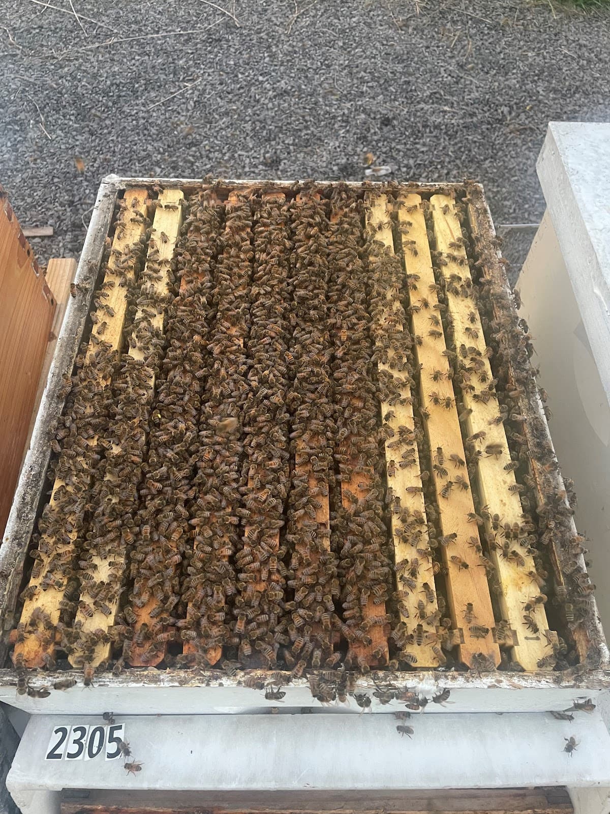 Allums Farms and Apiary, LLC