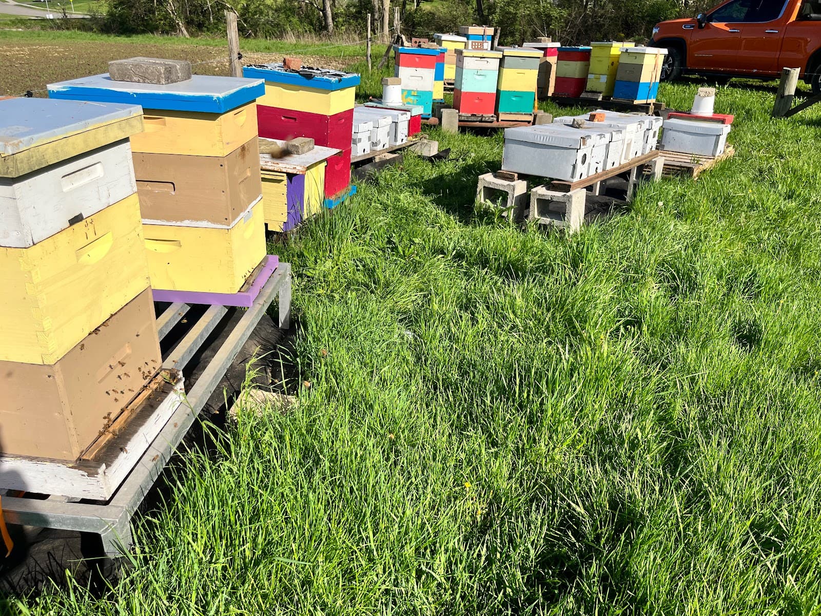Fessides Farm & Apiary - Image 1