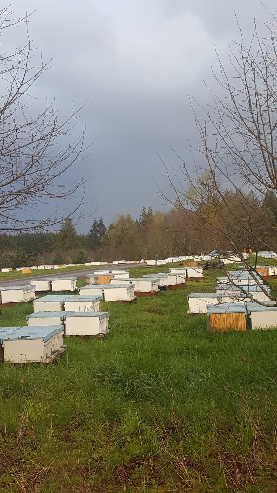 Foothills Honey Co LLC