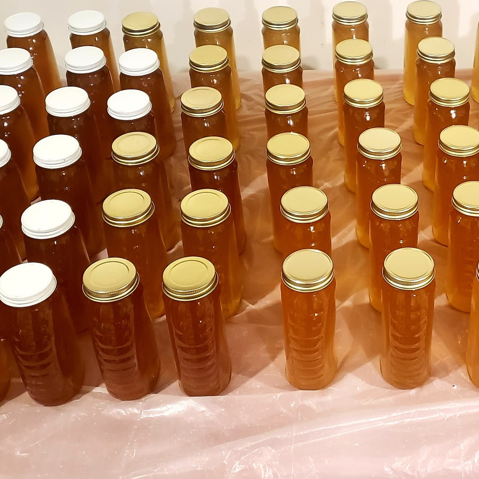 Gannons Garden Apiary