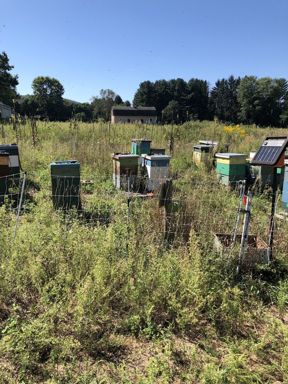 Hilltop Apiaries - Image 1