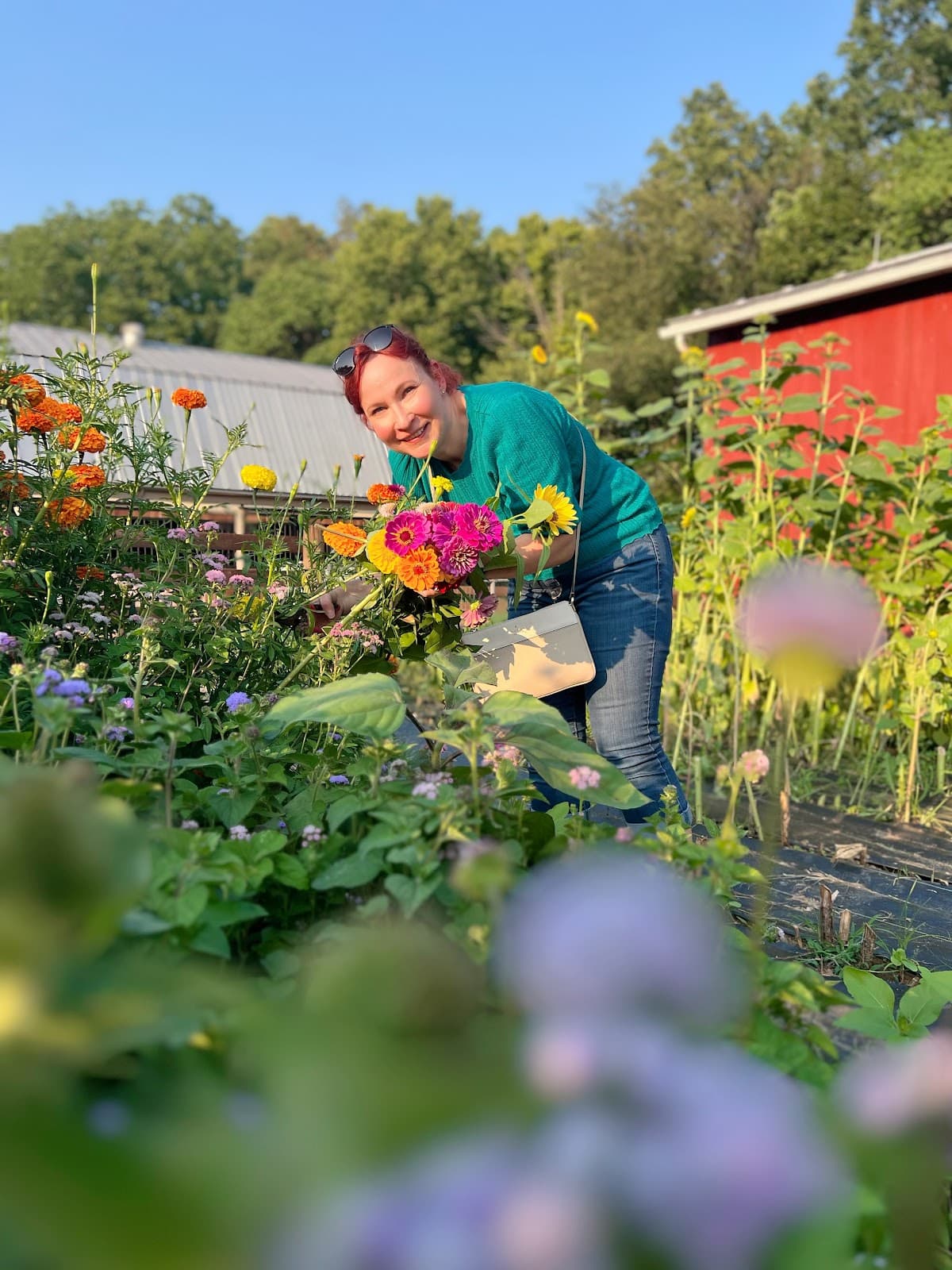 Honey Moon Apiary, LLC - Image 1