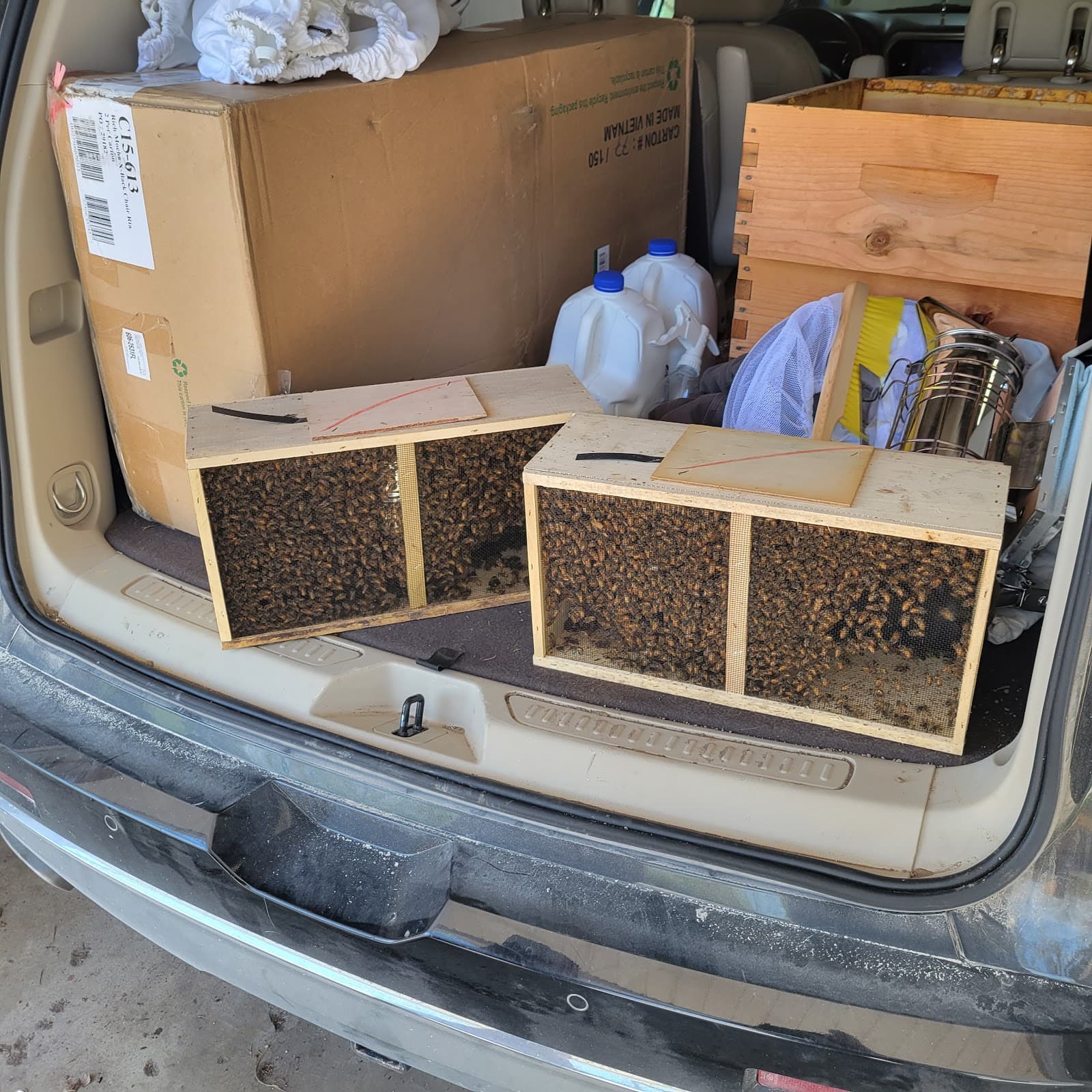 Honey Pimp Apiaries - Image 1