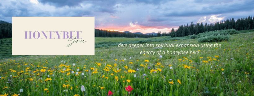 HoneyBeeYou