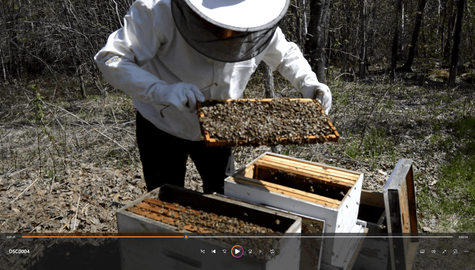 Hood Brook Apiary