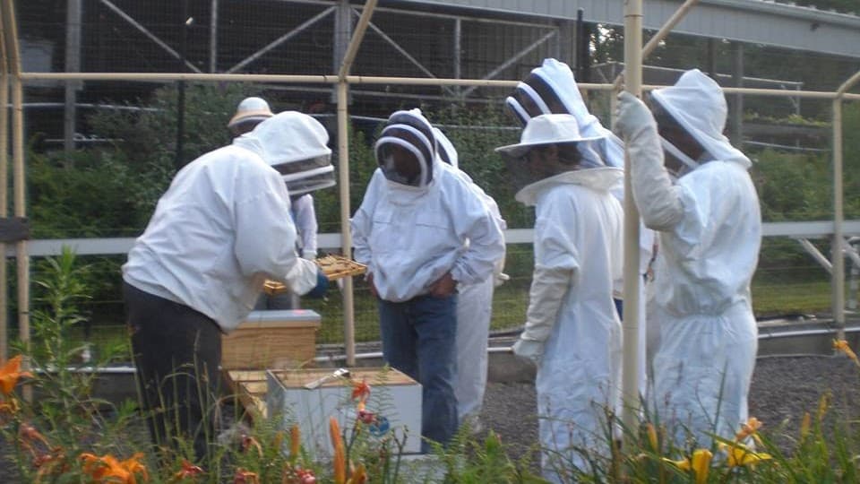 Keiner's Apiary - Image 1