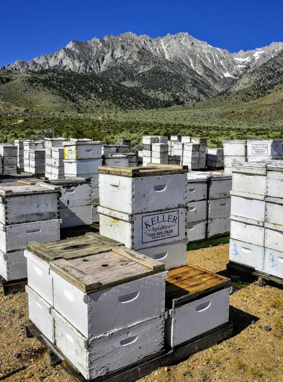 Keller Apiaries - Image 1