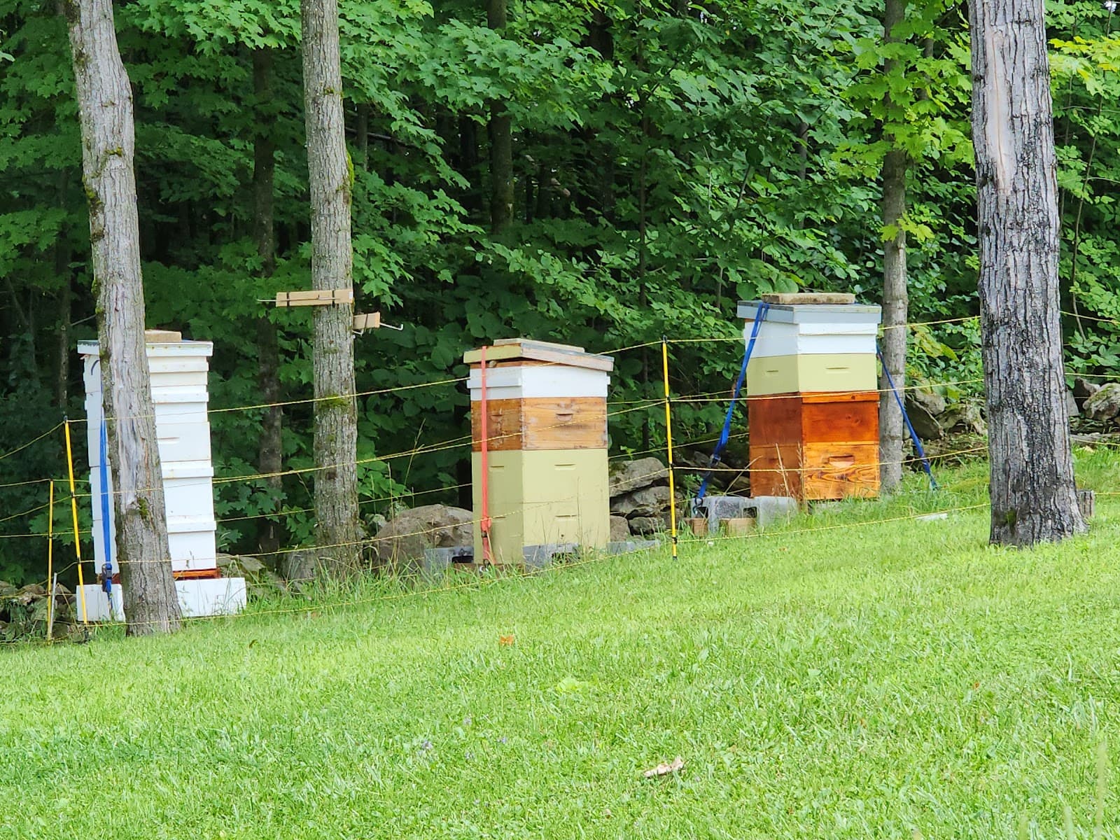 Lavallee Apiaries