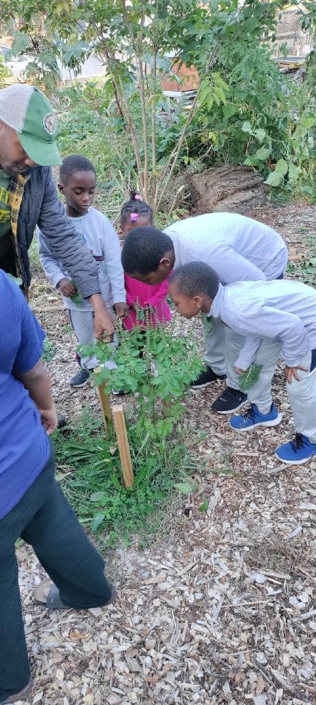 Apiary in the Sky, LLC