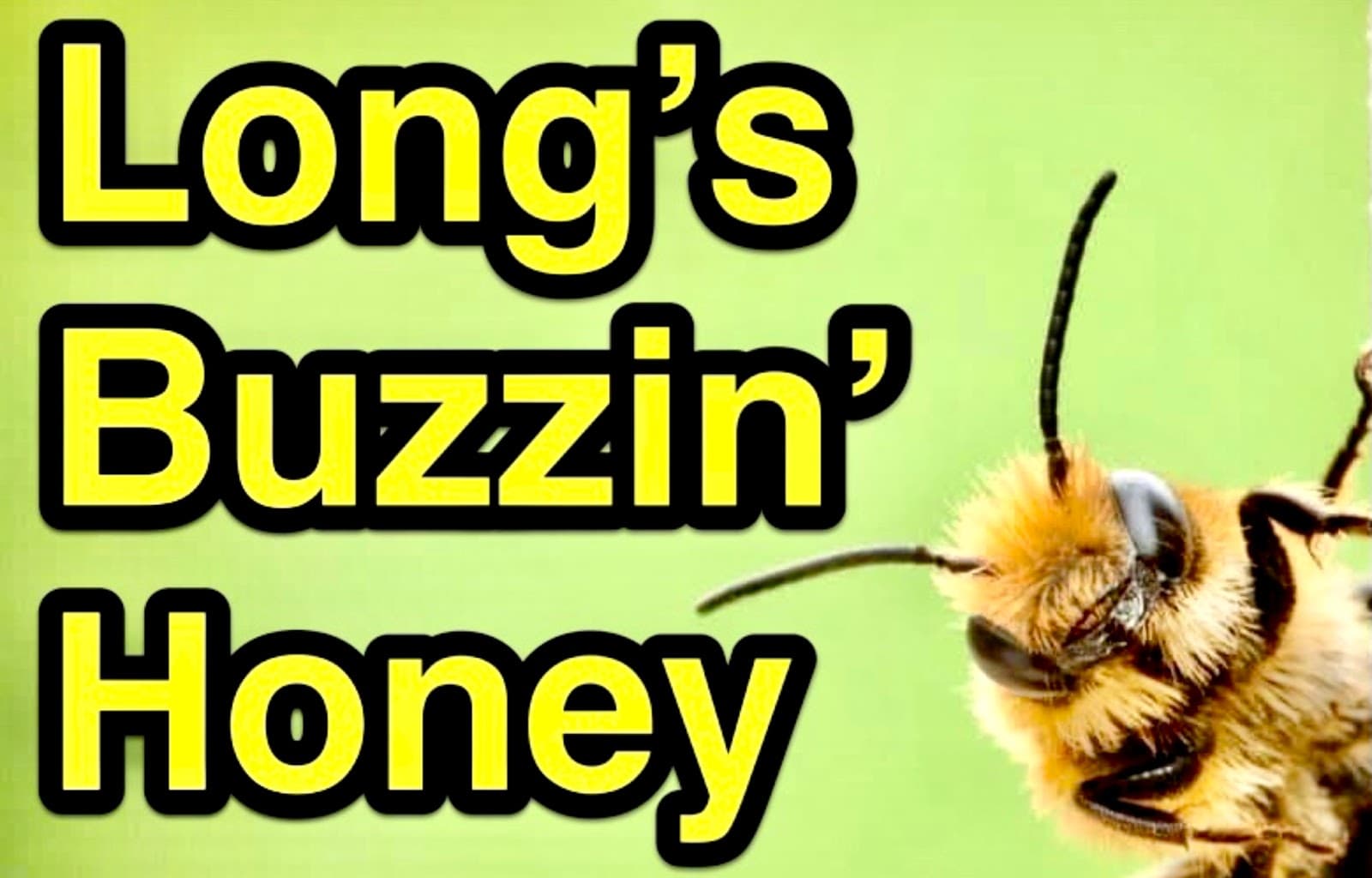 Long's Buzzin' Honey - Image 1