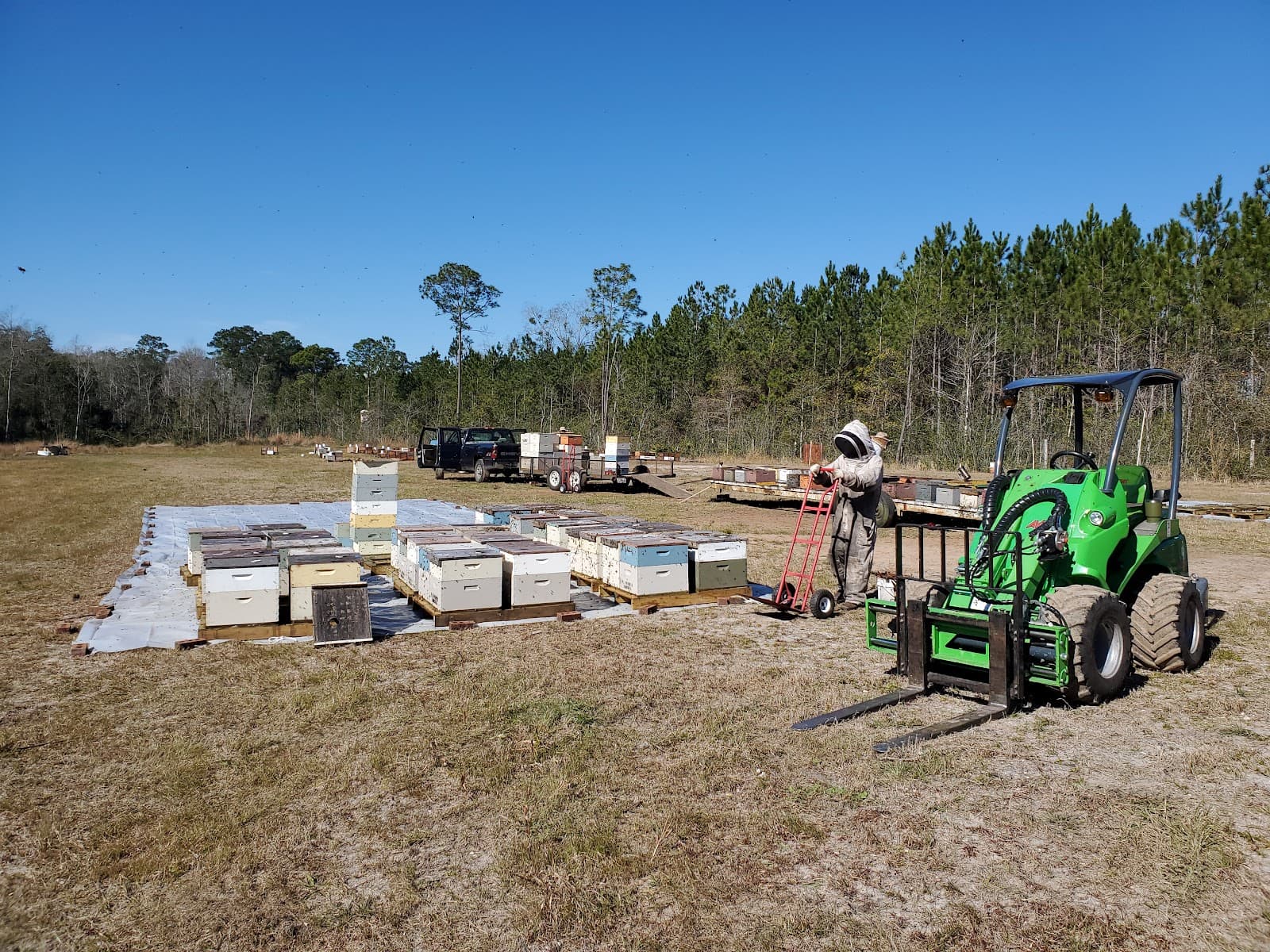 Miss BEE Haven Apiary