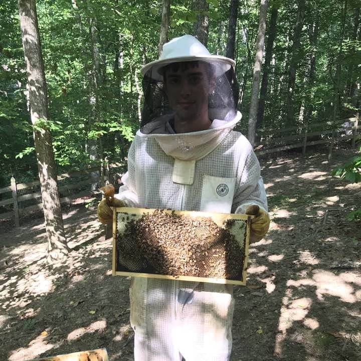 Noblebee Apiary