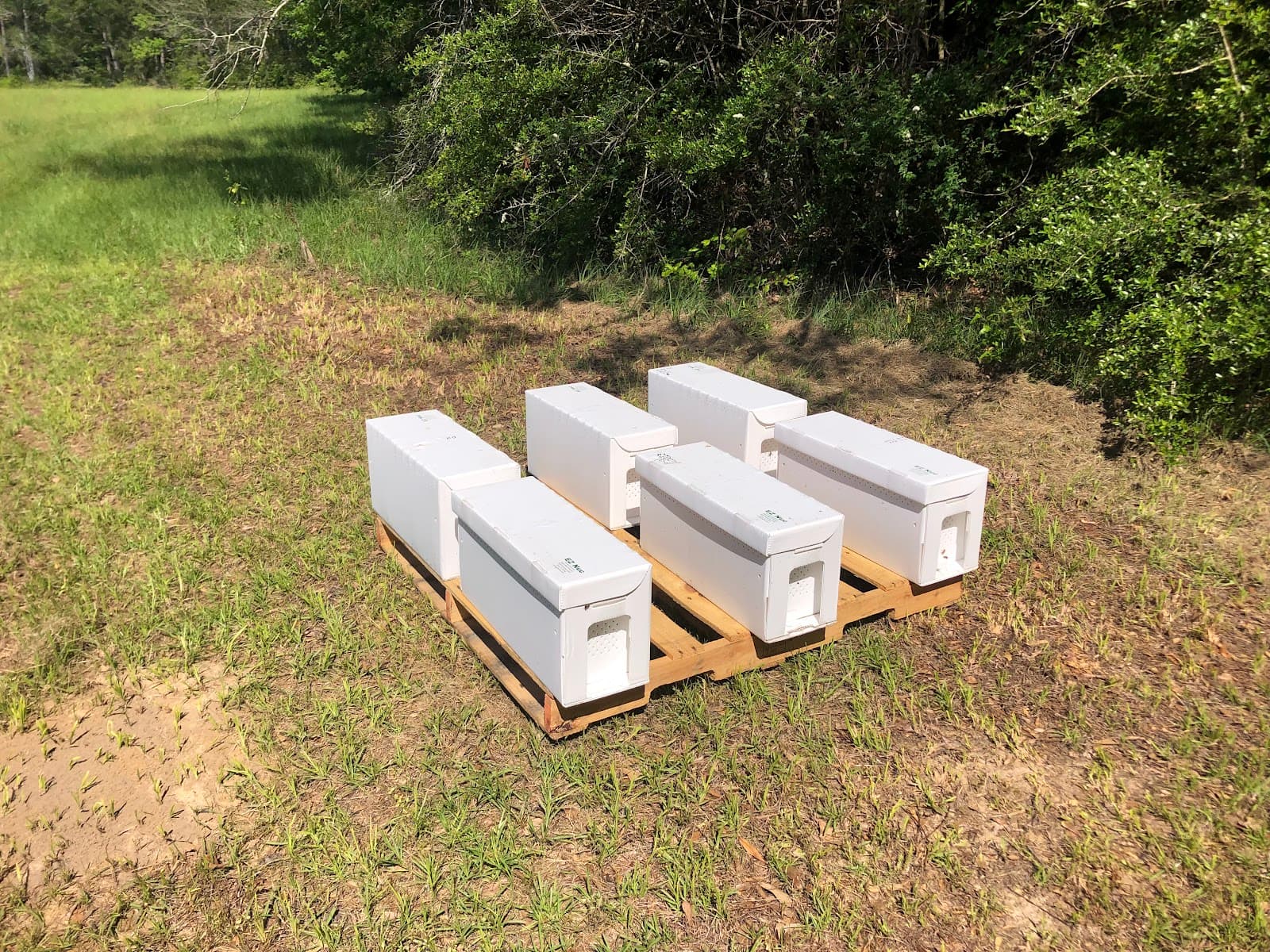 Oak Haven Bees