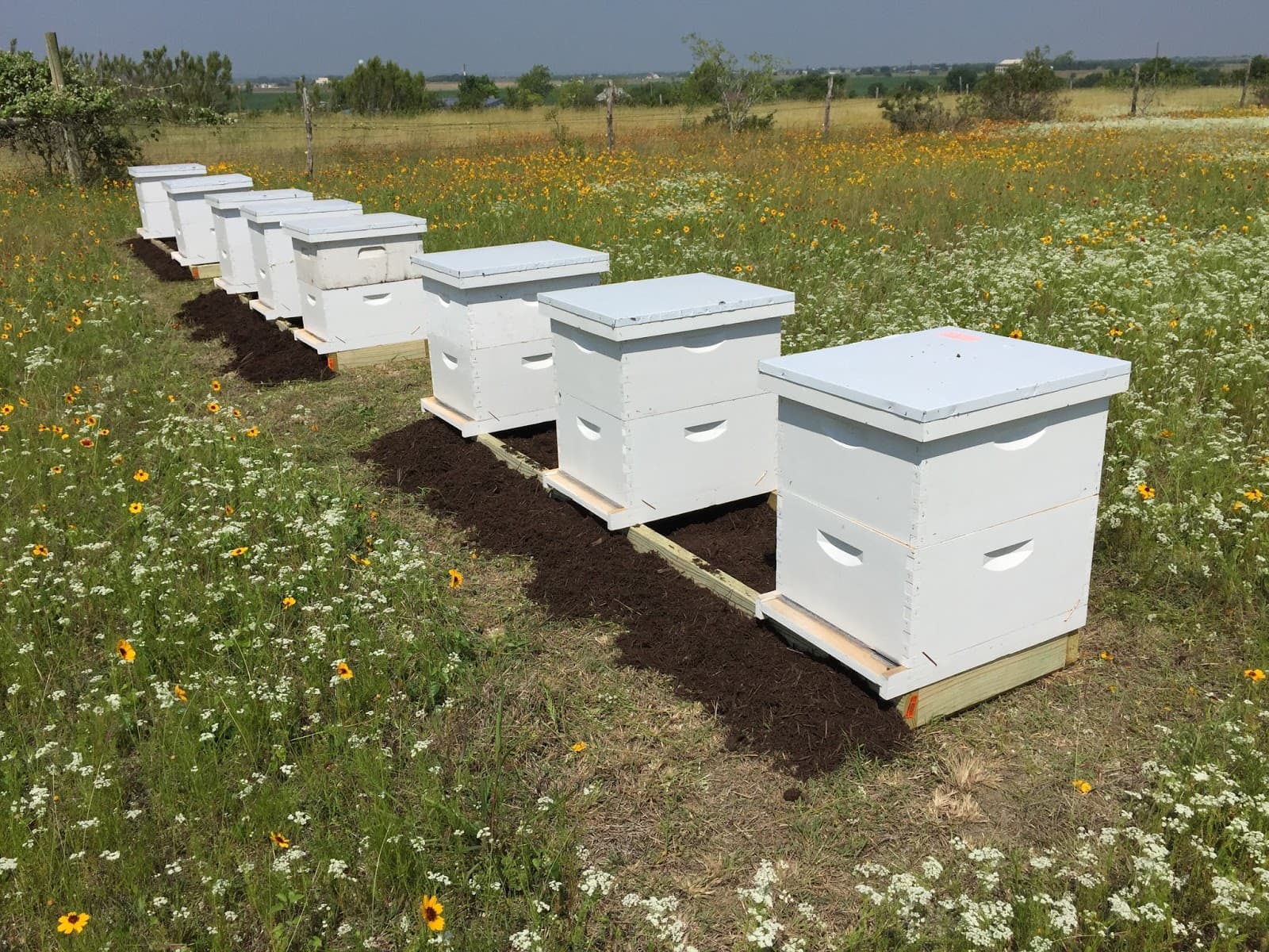 Oakley Family Apiaries - Image 1