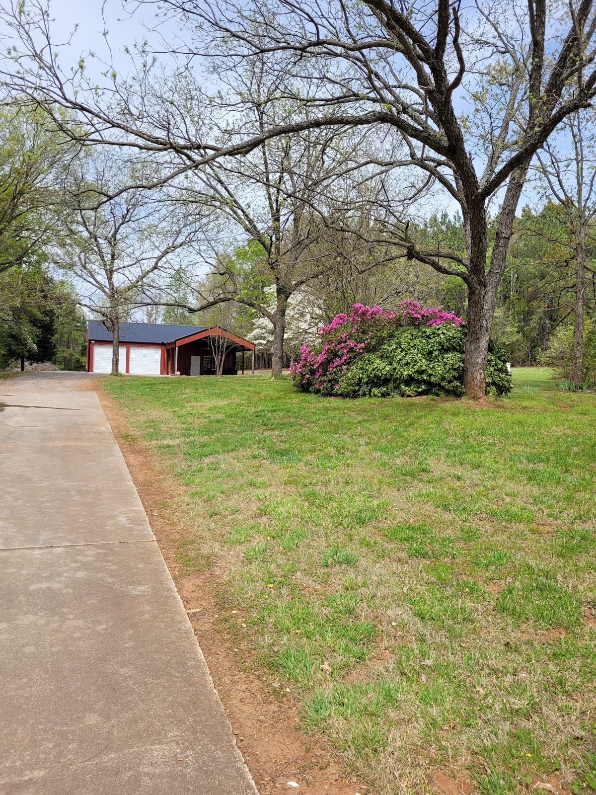Old Dutch Farm Apiary - Image 1