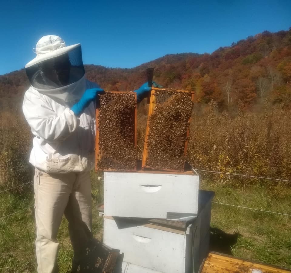 Appalachian Apiaries - Image 1