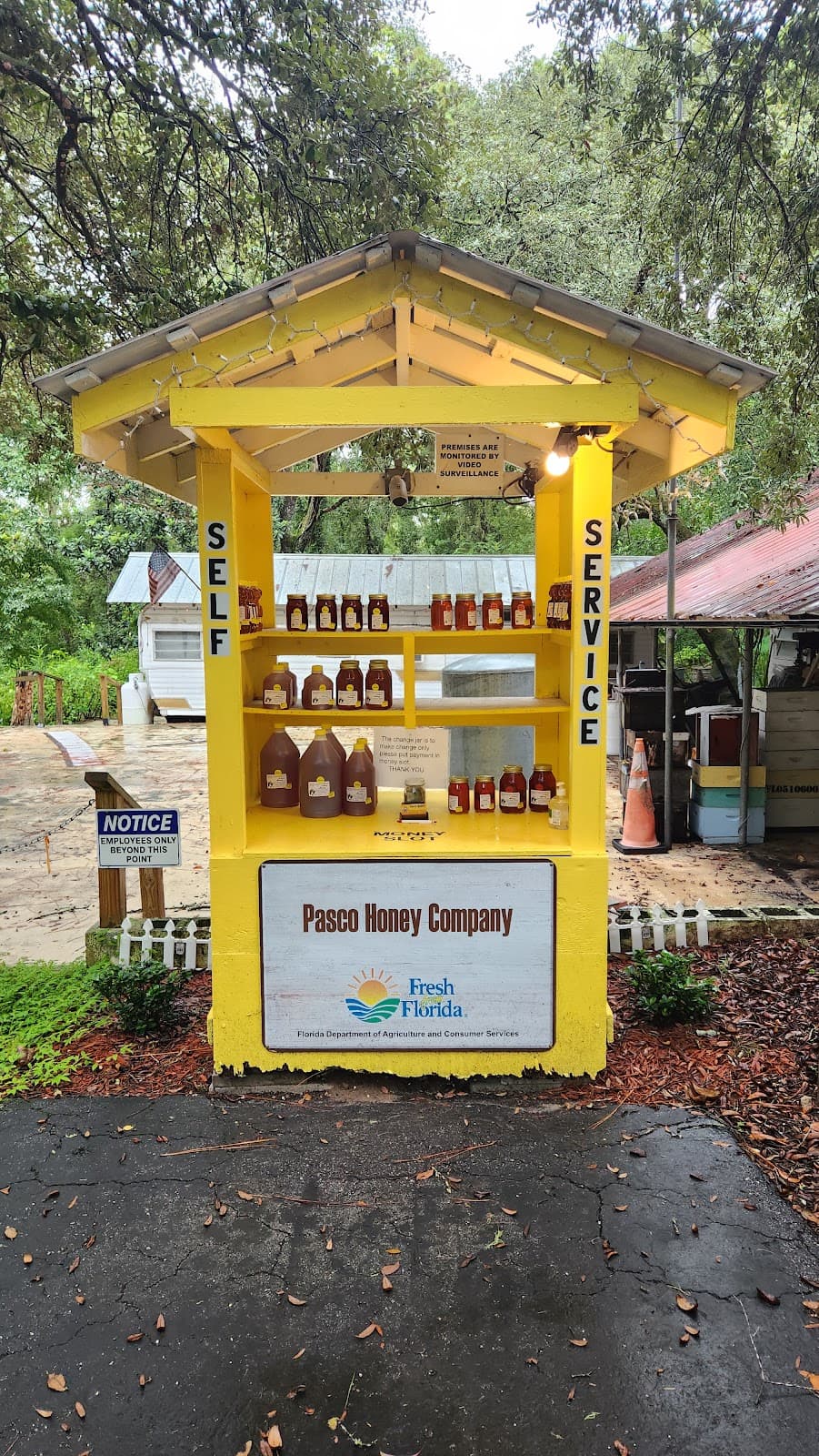 Pasco Honey - Image 1