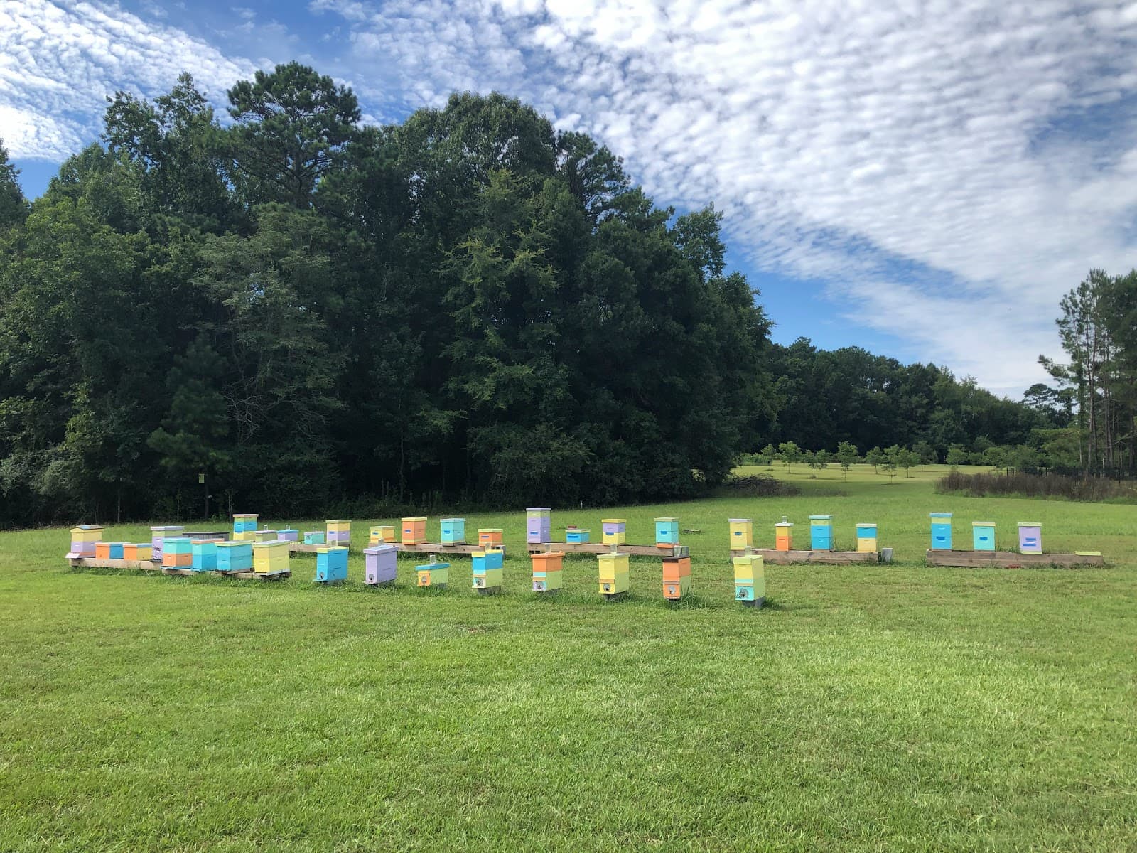 Pop Pop's Apiaries LLC