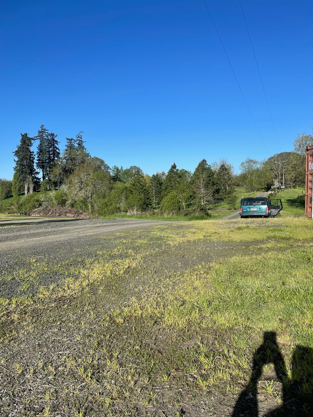 Queen Bee Honey Company