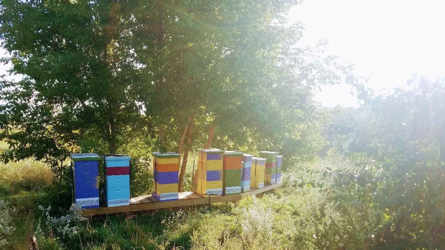 Apple Grove Apiary LLC - Image 1