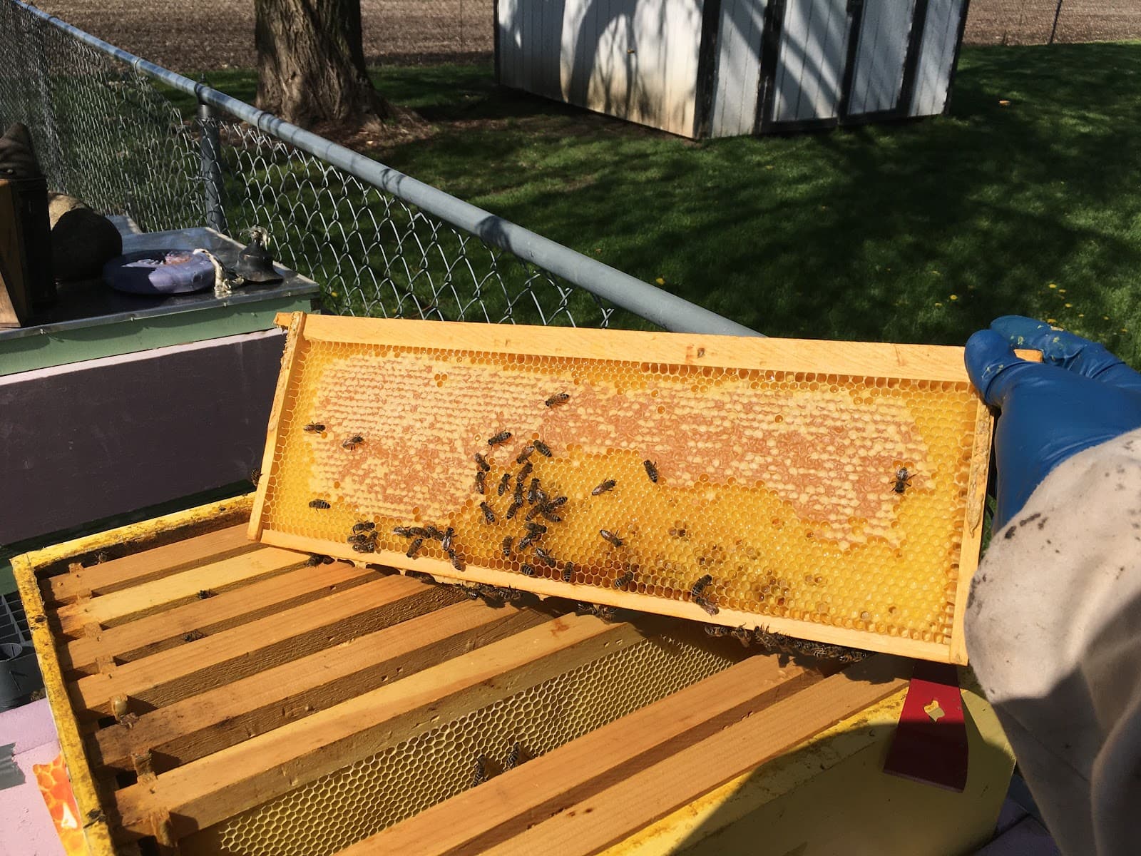 Riverview Road Apiary