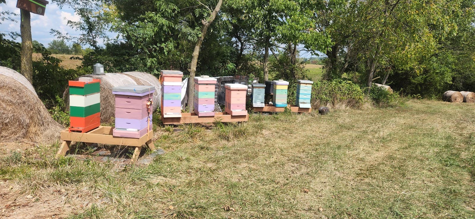 Scrapshack Apiary