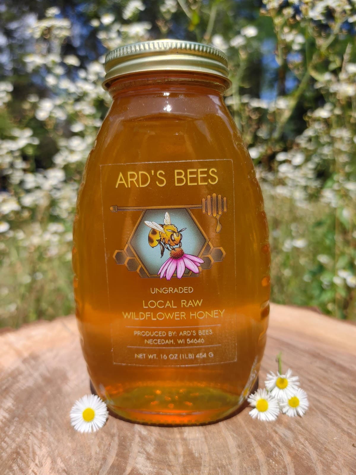 Ard's Bees - Image 1