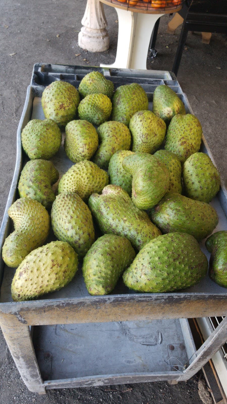 Siggi's Organic Farm & Apiary