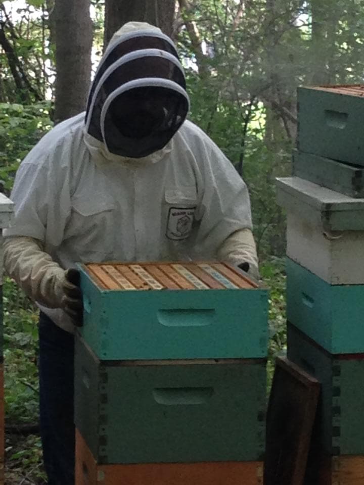 SixAcre Apiary