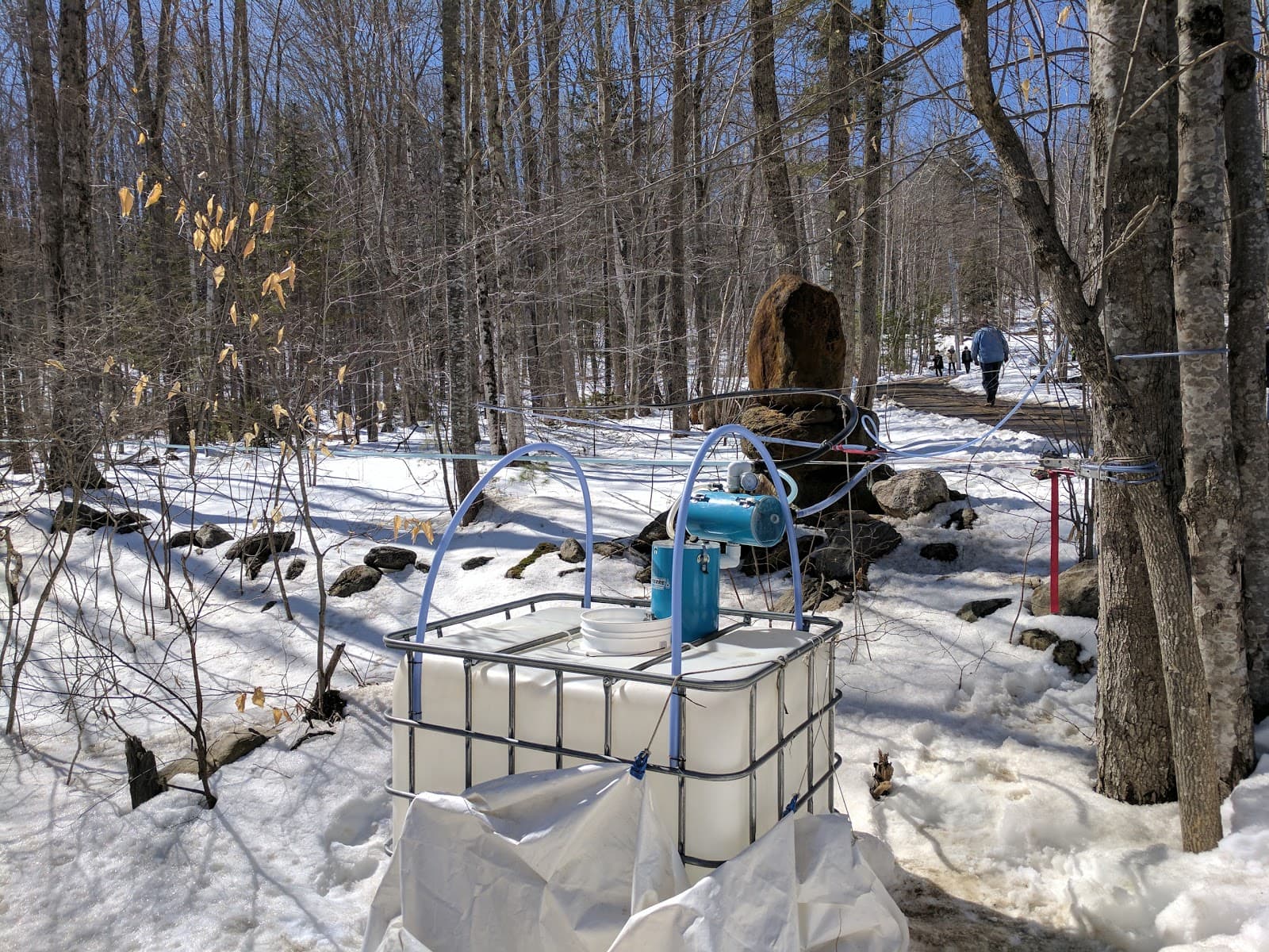 Sparky's Apiaries - Image 1