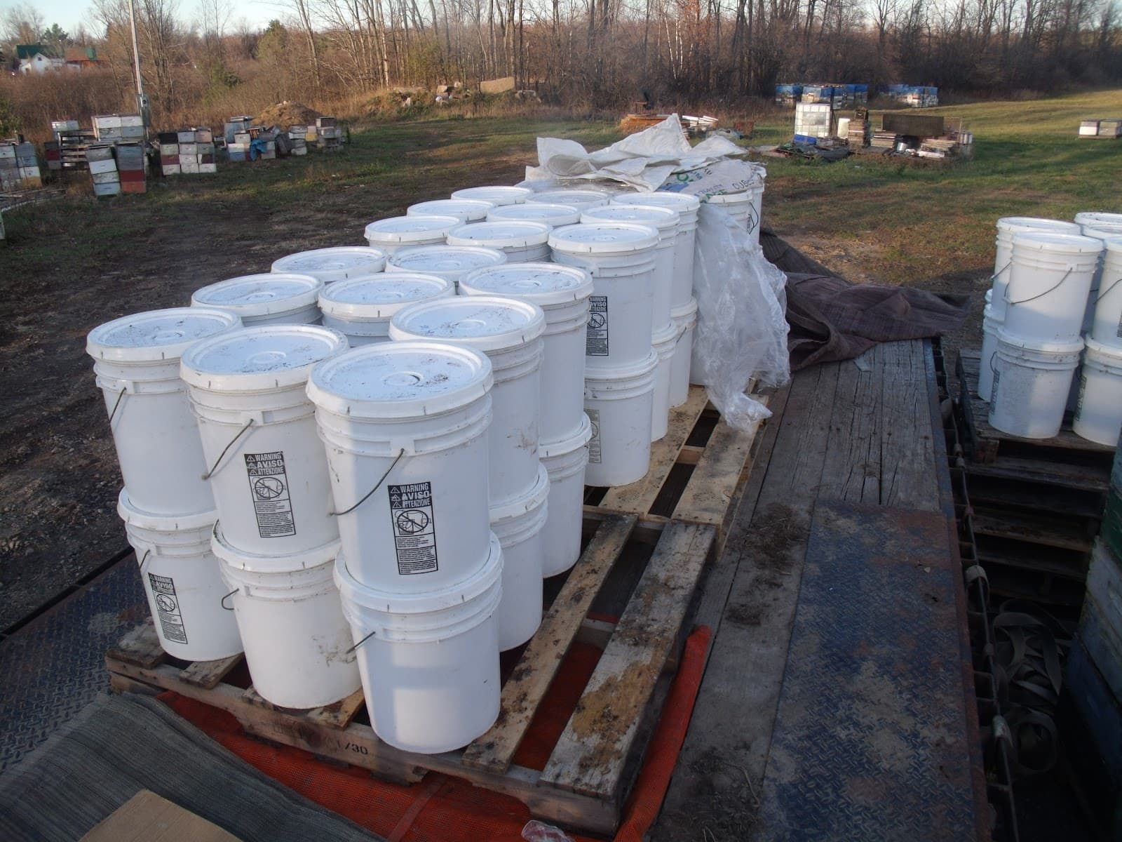 Squeak Creek Apiaries - Image 1