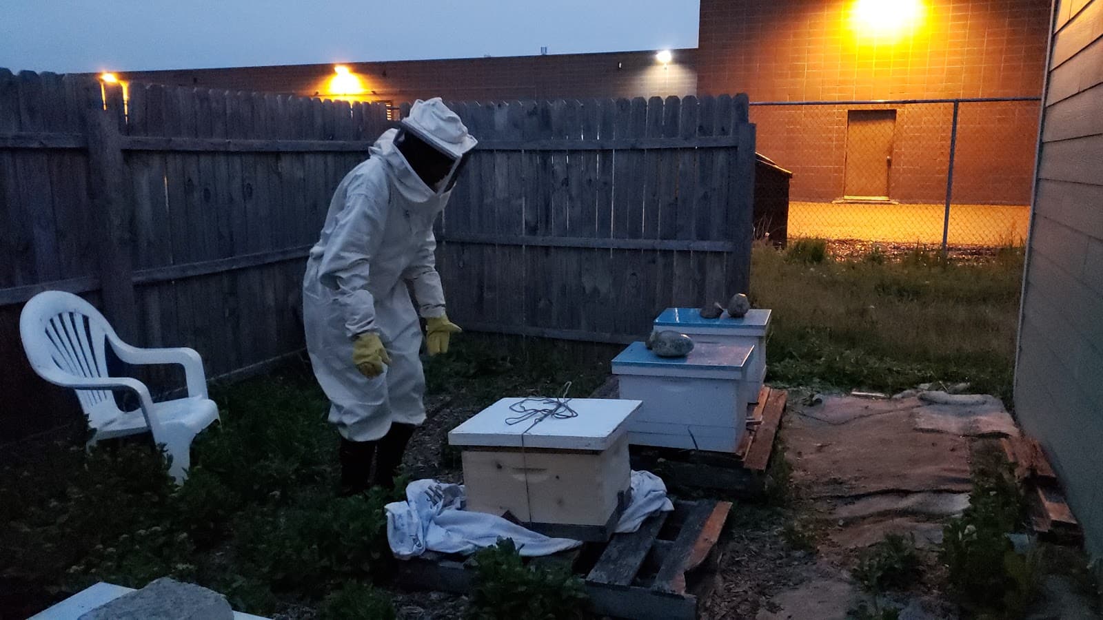 Sunshine Apiary - Image 1