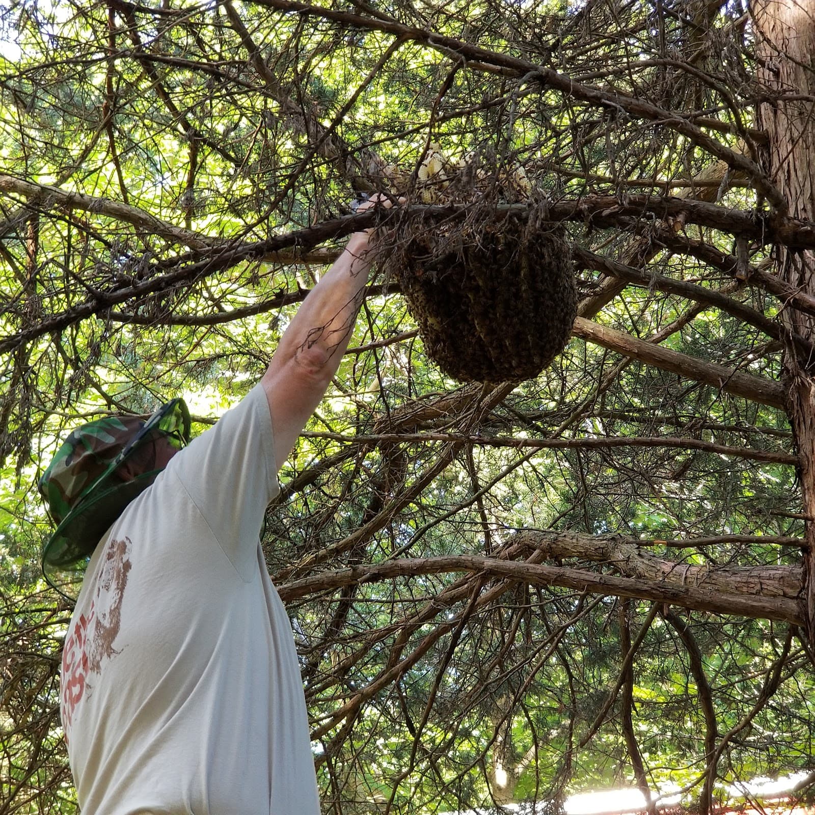 Syracuse Honey LLC - Image 1