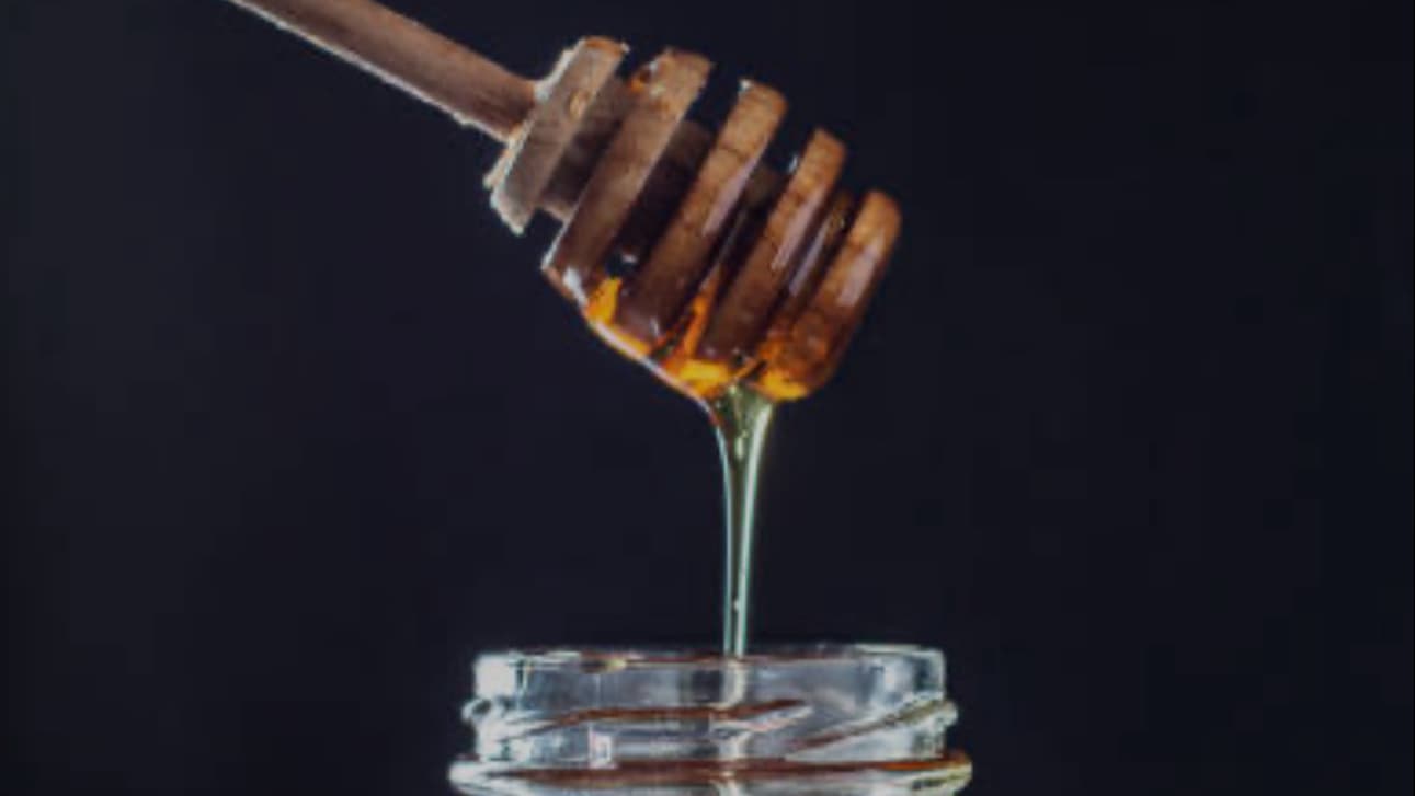 The Bee's Knees Apiary