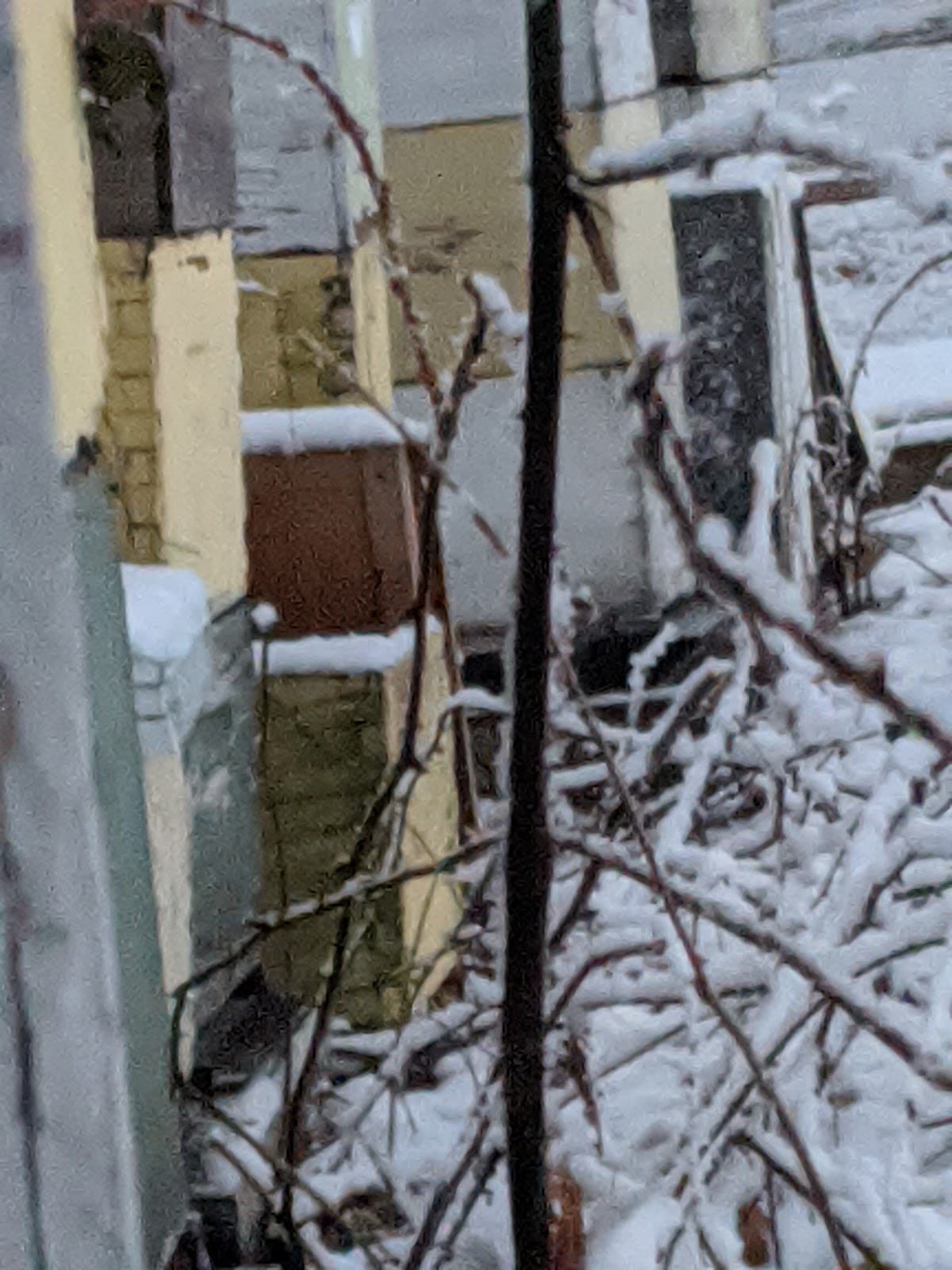 The Bee Folks - Image 1