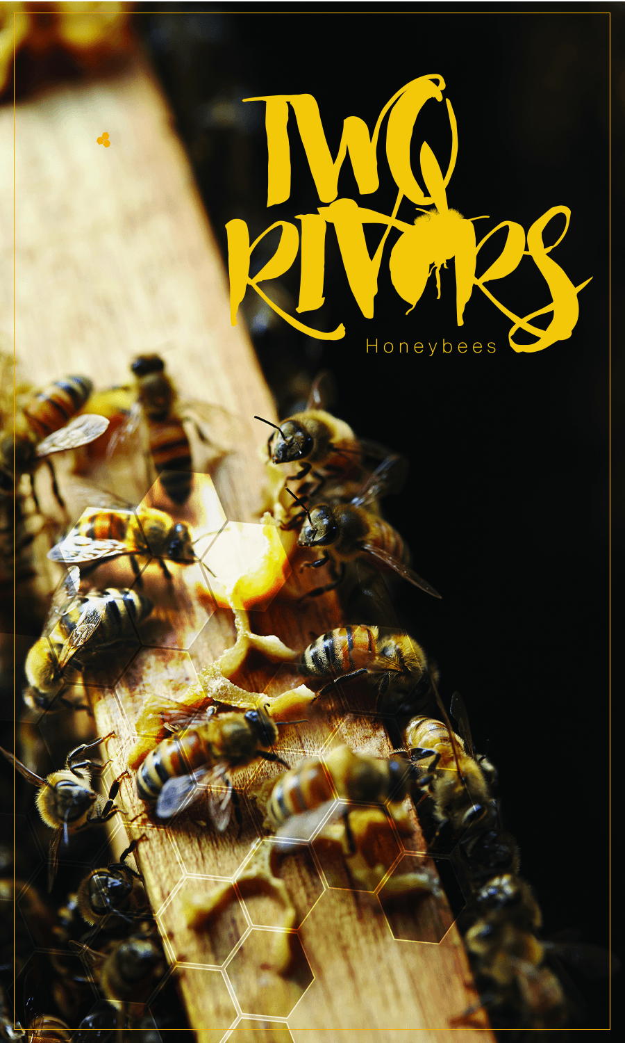 Two Rivers Honey Bees - Image 1