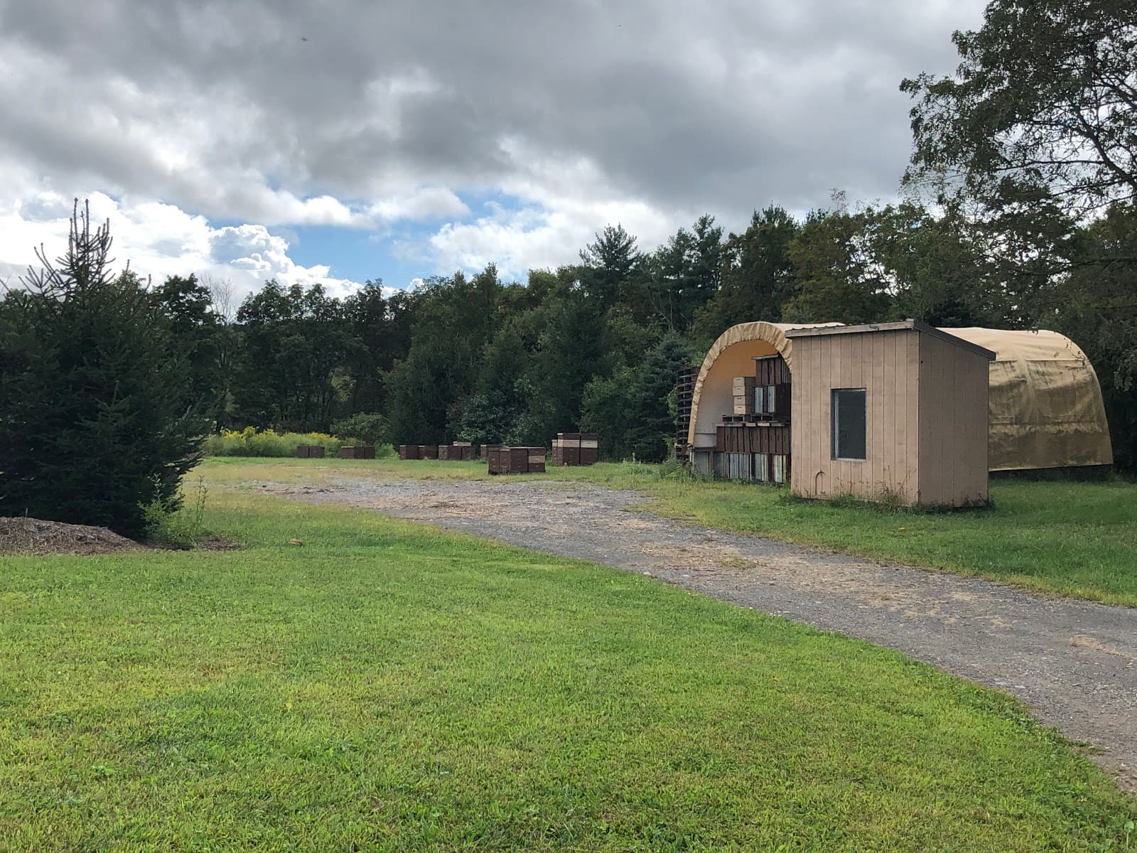 Auckers Apiary - Image 1