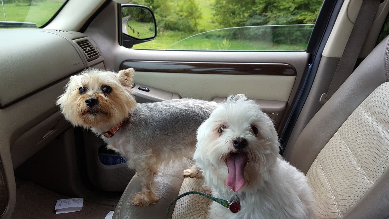 Windermere Farms & Apiaries - Image 1