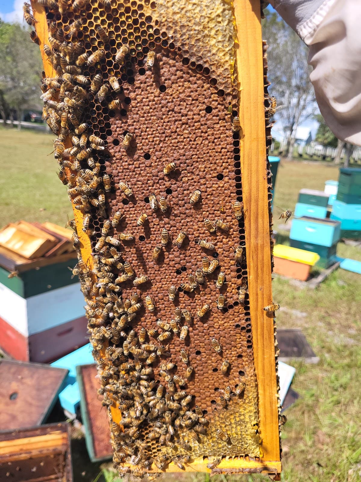 YME Apiary LLC