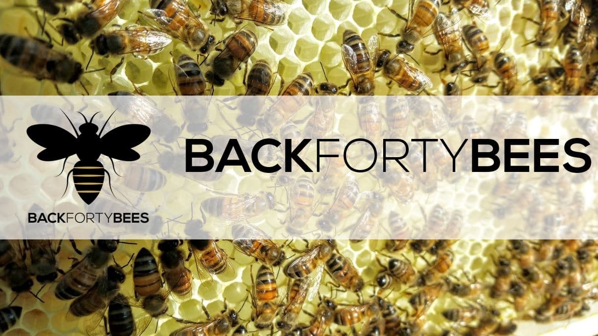 Back Forty Bees - Image 1