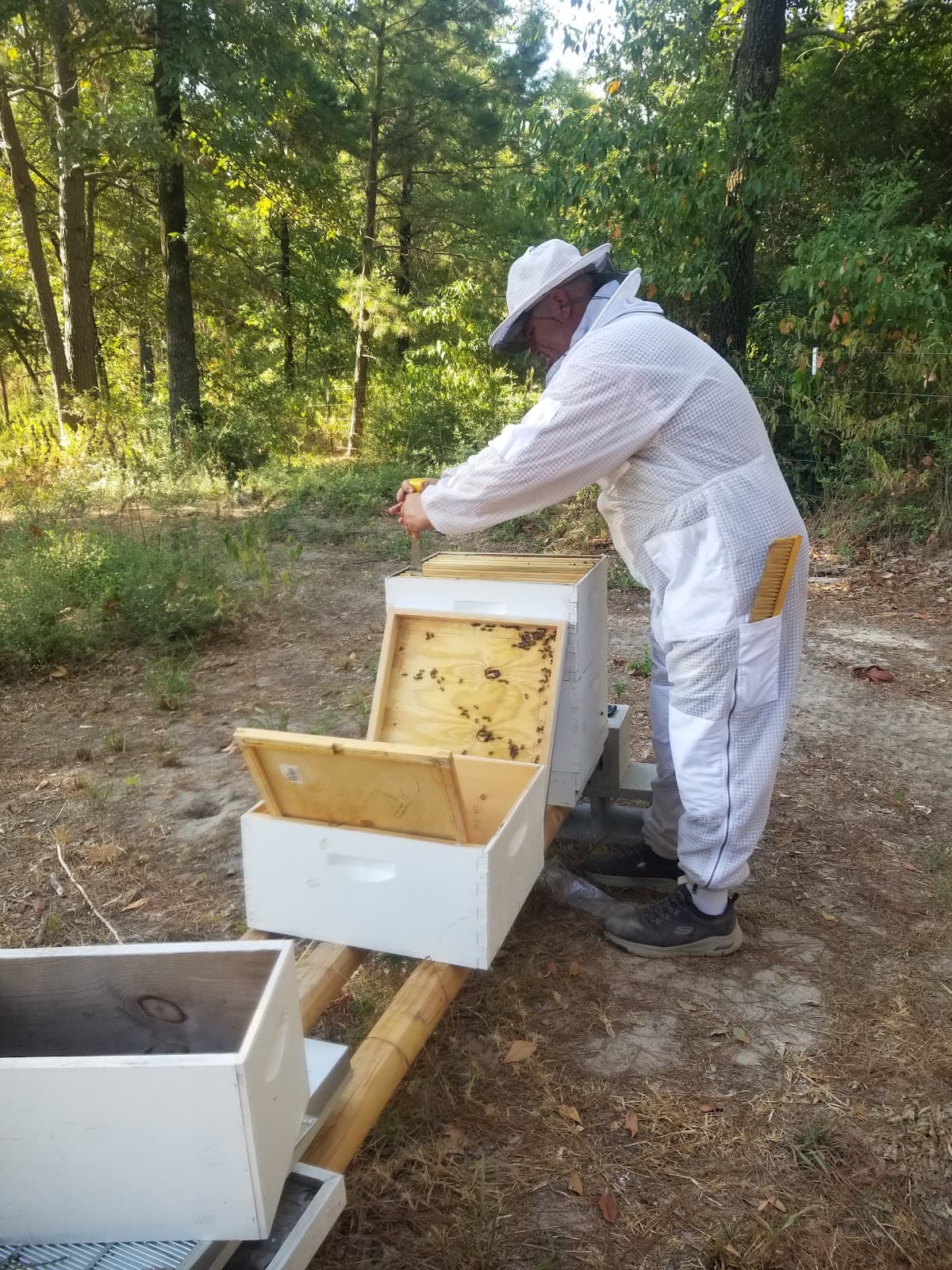 Bee Chase Apiary